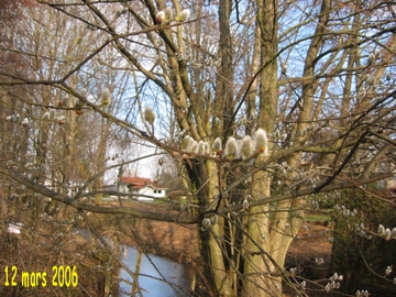  Ecoles du Monde - 